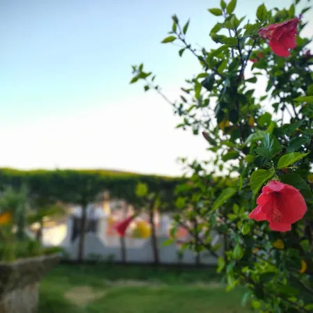 亚尔钦酒店 Çeşme