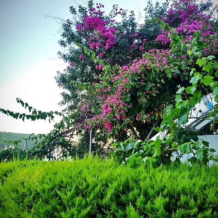 Ξενοδοχείο Yalcin