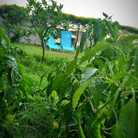 Ξενοδοχείο Yalcin 2*